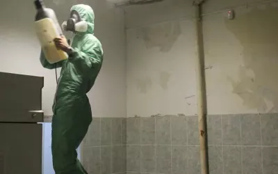 Дезинсекция склада для уничтожения тараканов в Чехове
