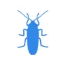 Уничтожение тараканов в Фрязино